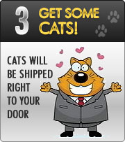 Cats will be shipped right to your door