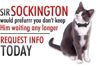 Sir Sockington would preffurrr you don't keep him waiting any longer. Request info today